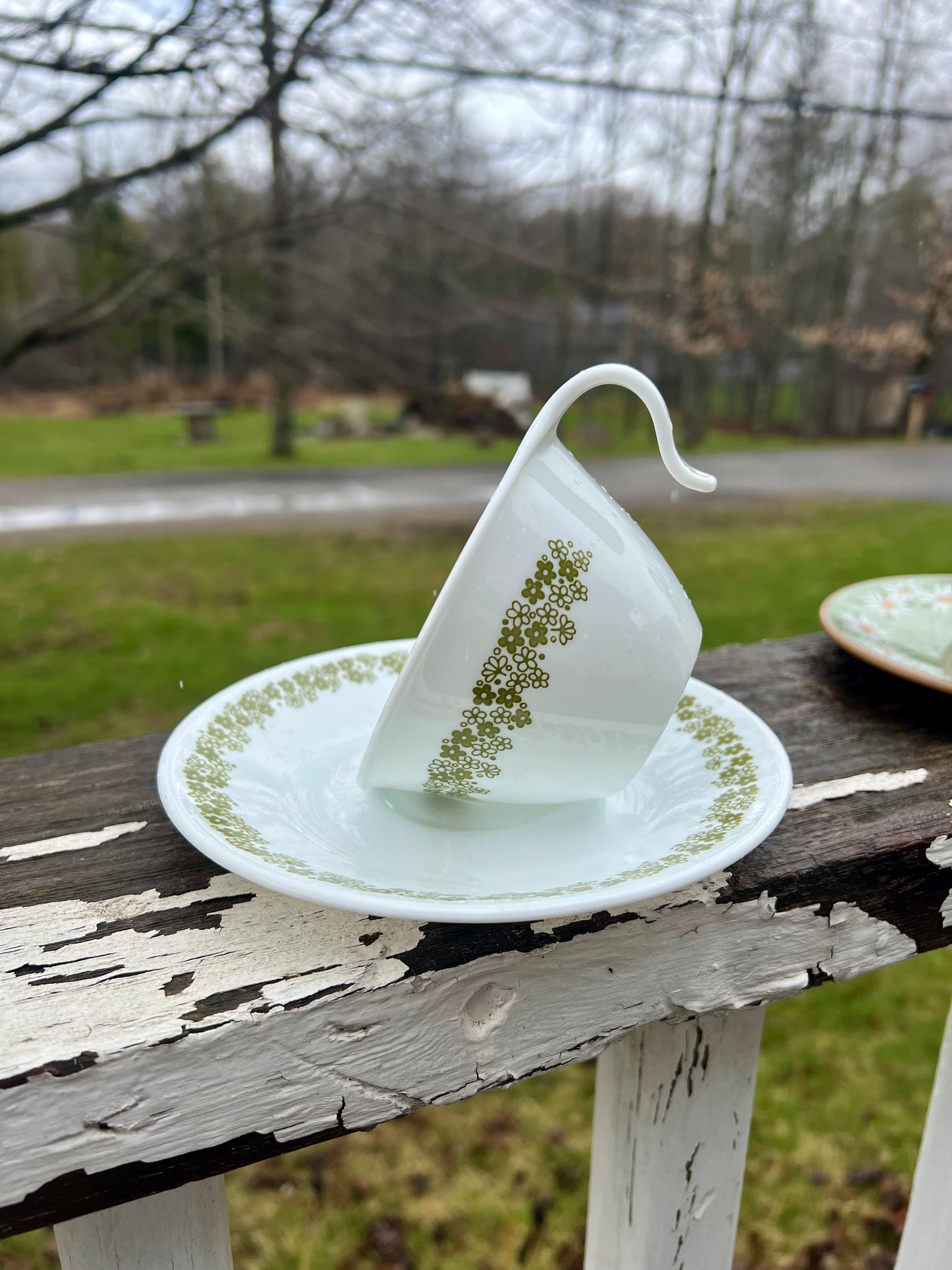 Tea Cup Bird Feeder