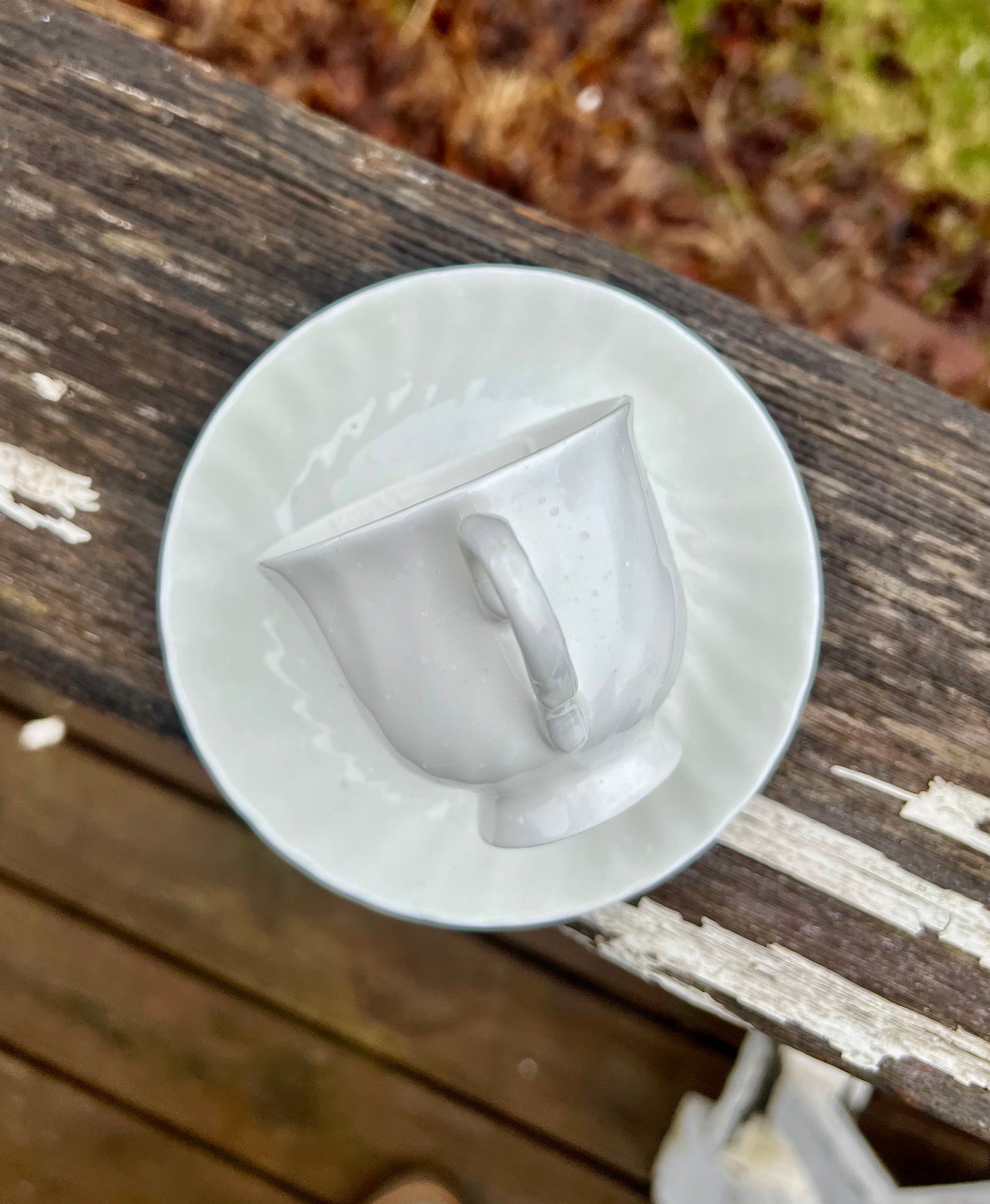 Tea Cup Bird Feeder