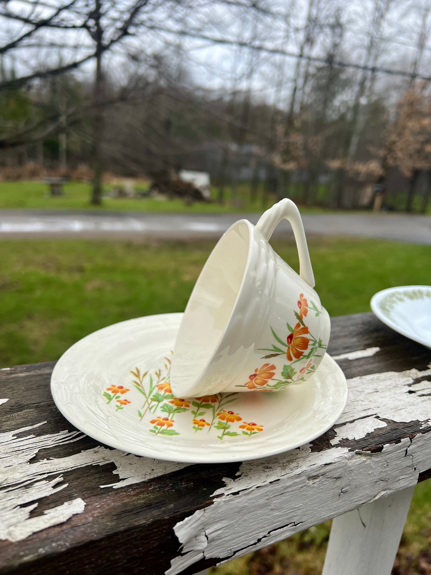 Tea Cup Bird Feeder