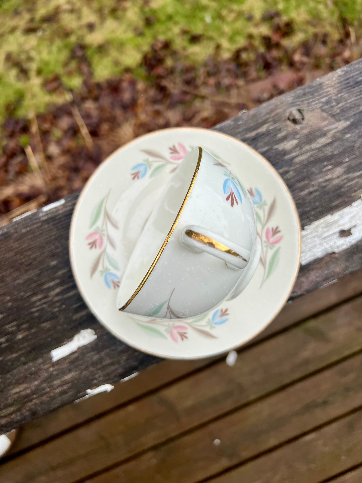 Tea Cup Bird Feeder