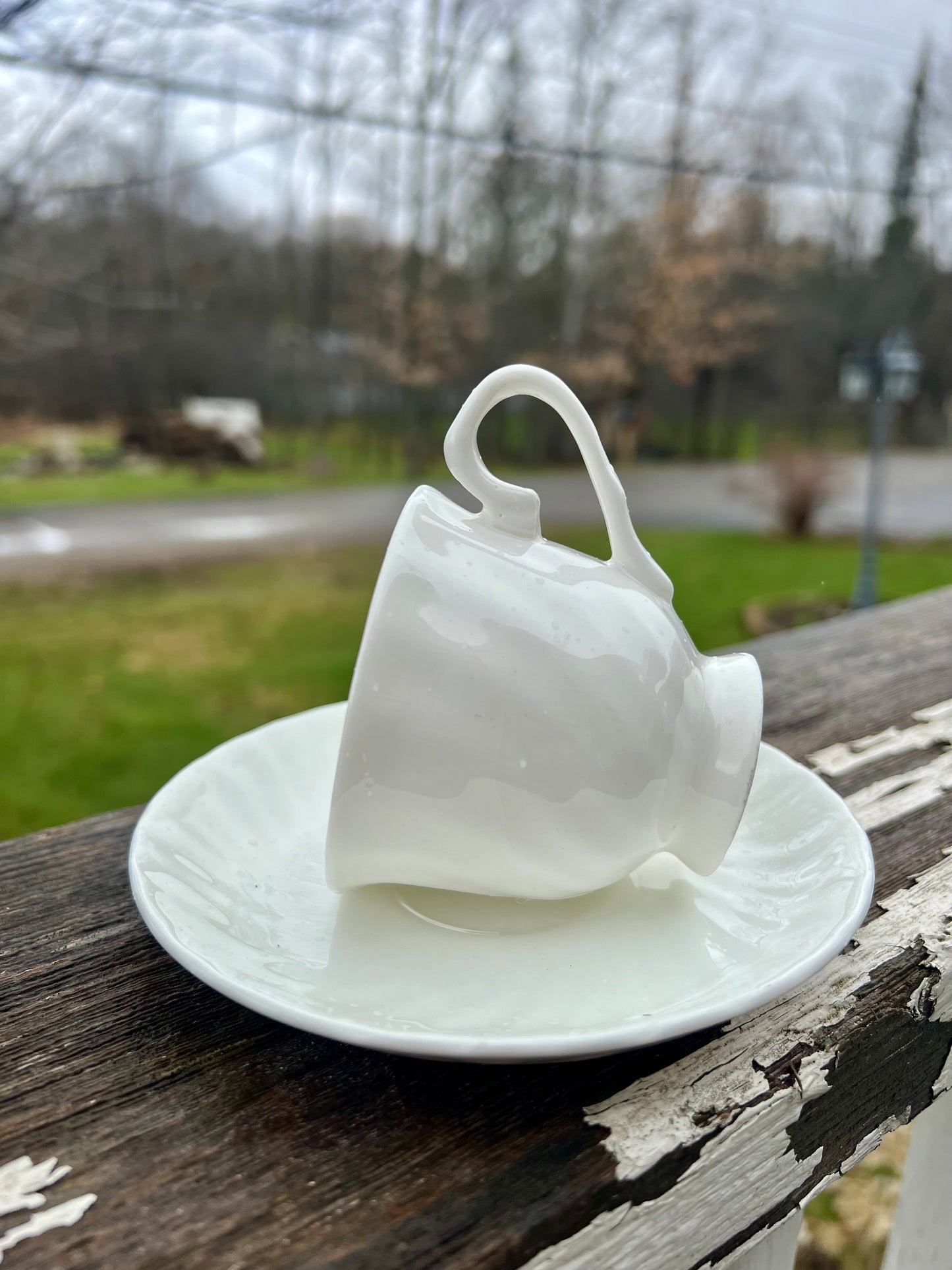 Tea Cup Bird Feeder