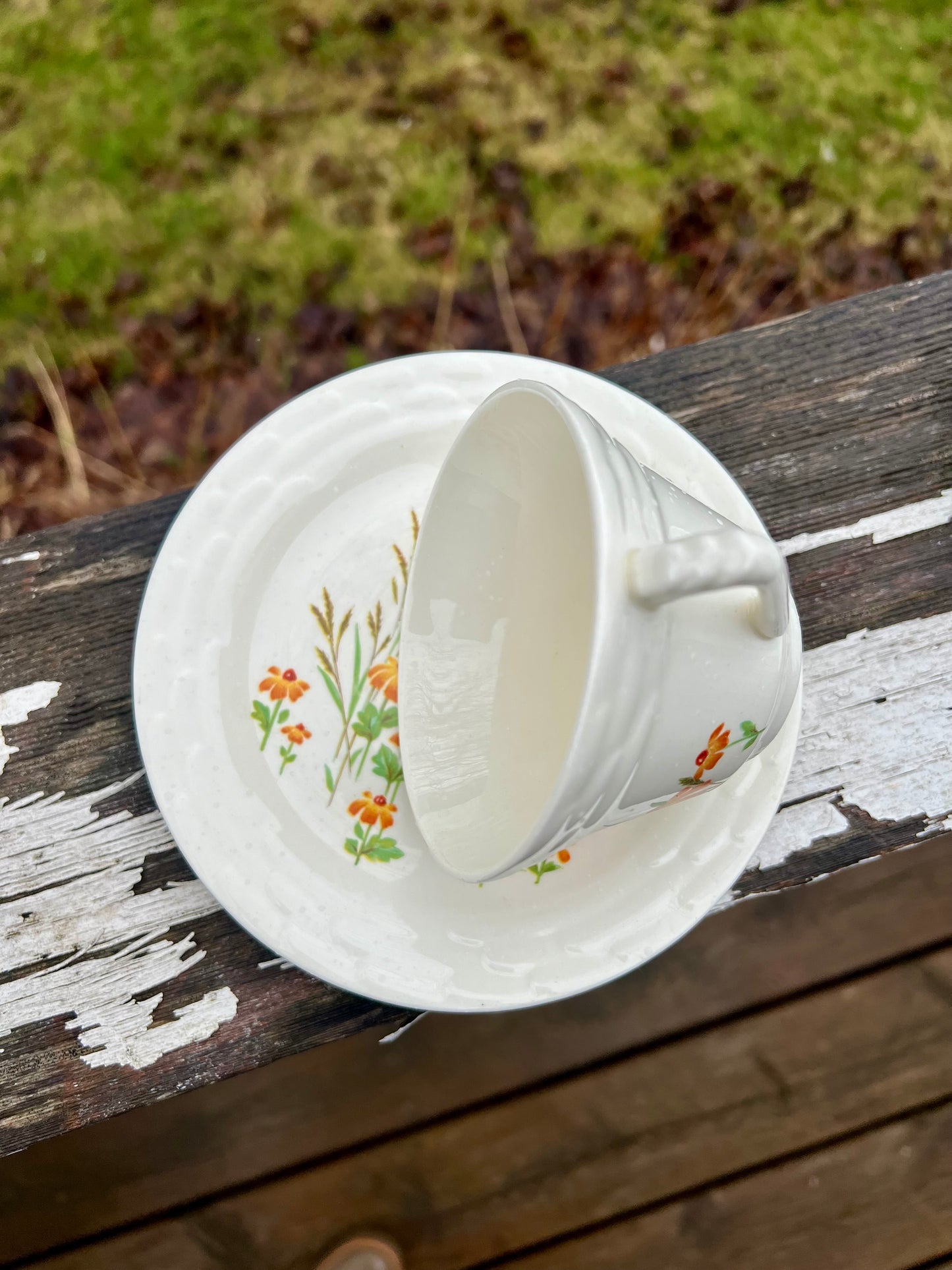 Tea Cup Bird Feeder
